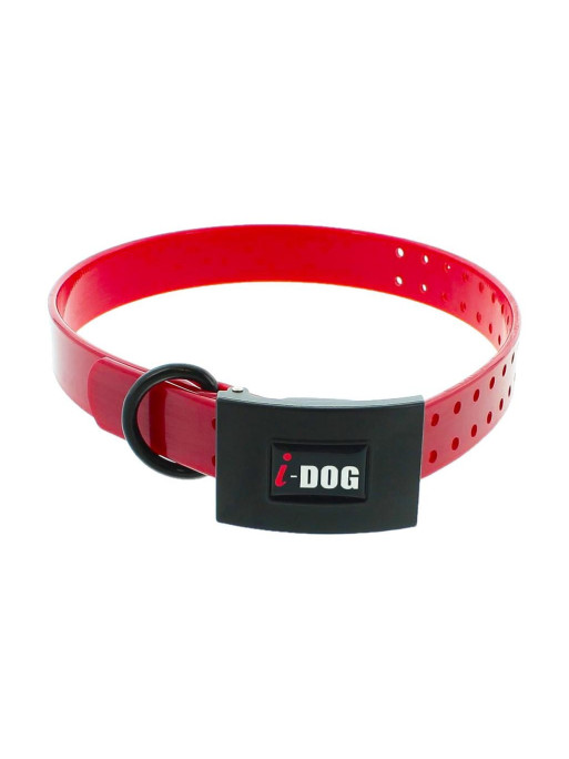 Collier Premium I-Dog 65cmx25mm