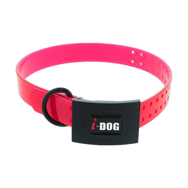 Collier Premium I-Dog 65cmx25mm