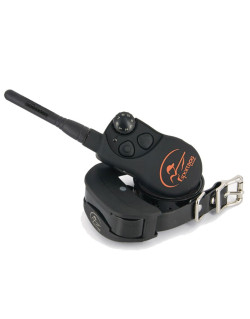 Collier dressage SportDOG SportTrainer 1200m SD-1225E