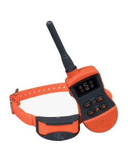 Collier dressage SportTrainer 800m SportDOG SD-875E