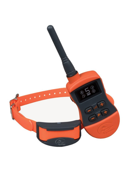 Collier dressage SportTrainer 800m SportDOG SD-875E