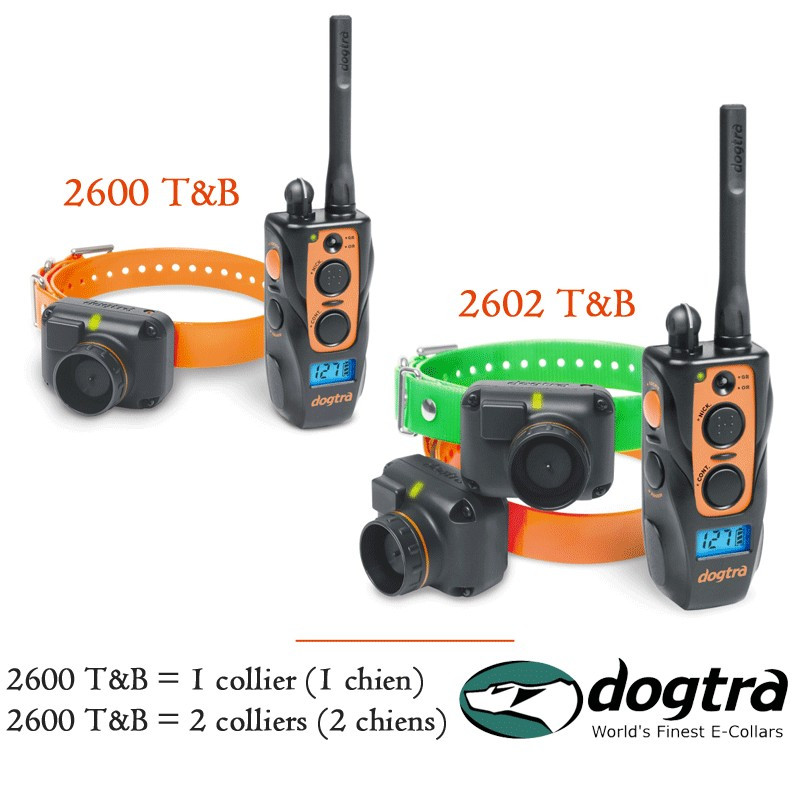 Dogtra 2600 store