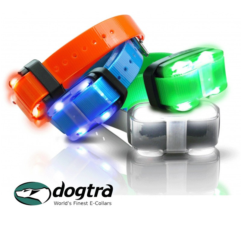 dogtra 4500 edge