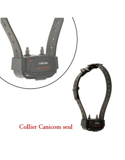 Collier dressage Canicom supplémentaire Num'axes
