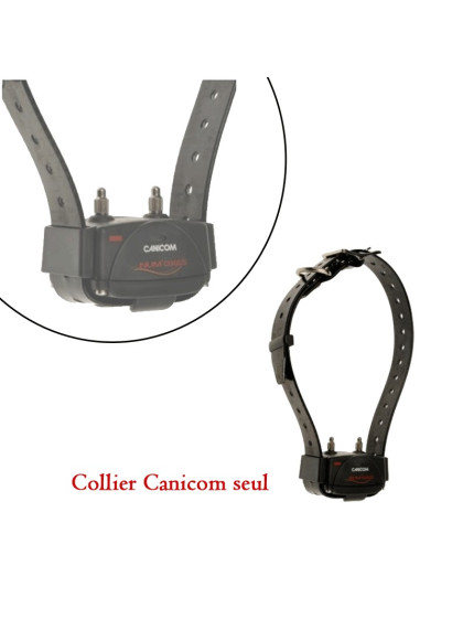 Collier dressage Canicom supplémentaire Num'axes