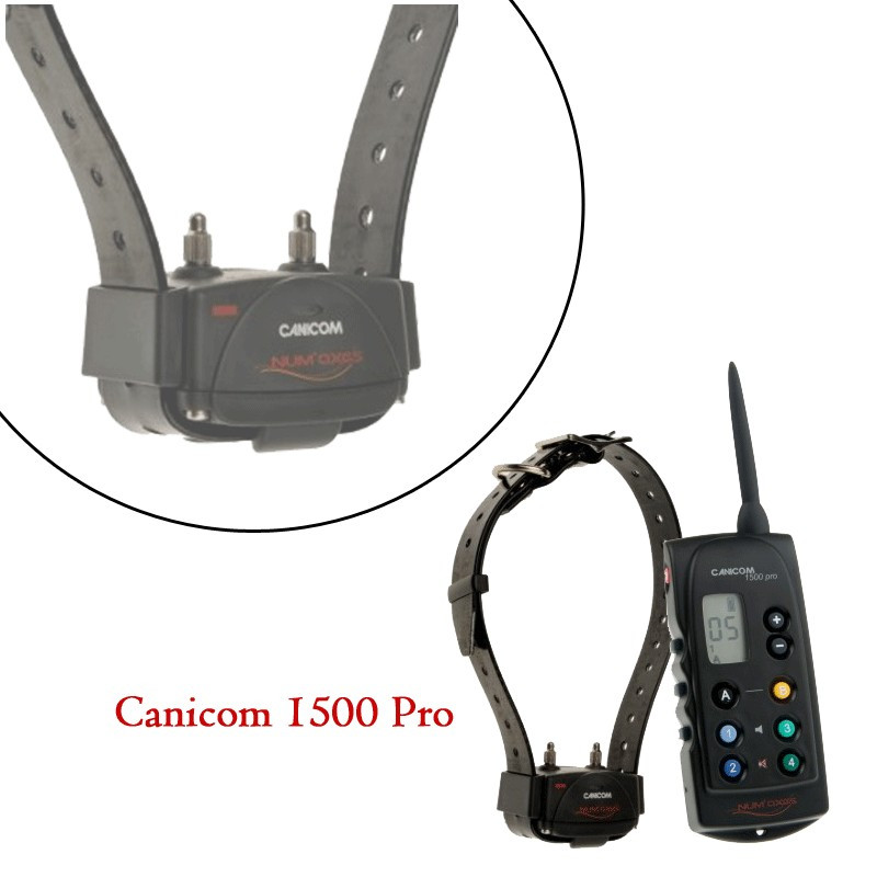 Collier de dressage Canicom 1500 Pro Num'axes