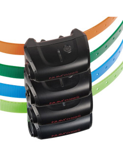 Collier dressage Canicom 5 supplémentaire