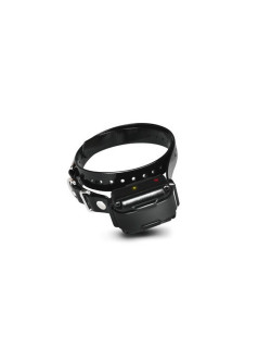 Collier récepteur seul IQ Plus Dogtra