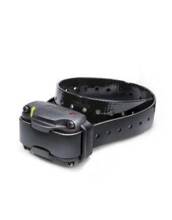 Collier récepteur 610C et 640C Dogtra