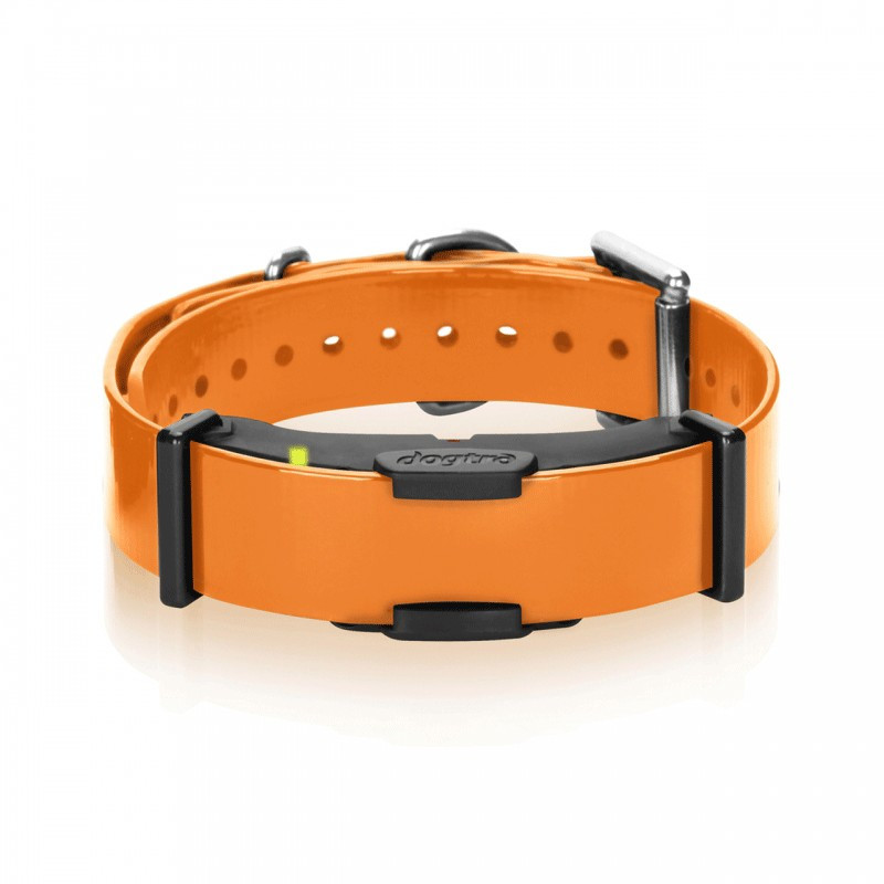 Dogtra 1200 clearance