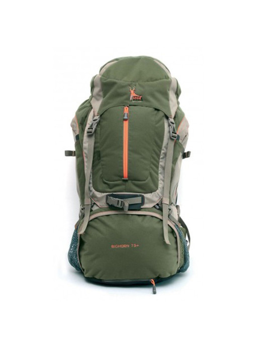 Sac markhor clearance