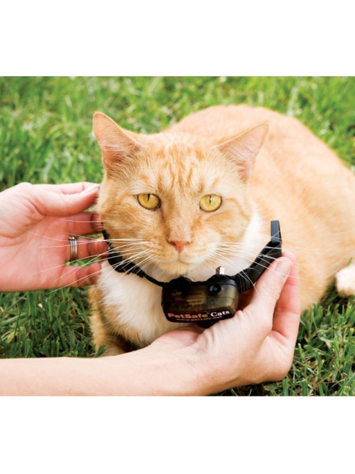 Clôture anti-fugue à fil de luxe In-Ground Cat Fence chat PetSafe