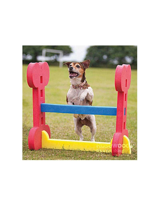 Haie agility Indoor Haie agility Indoor