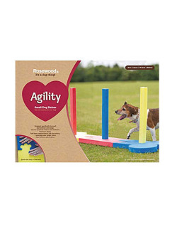 Slalom agility Indoor