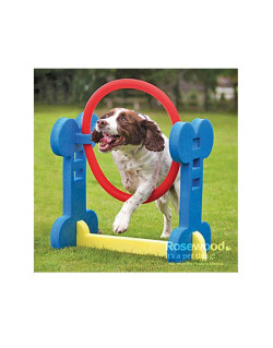Pneu agility Indoor
