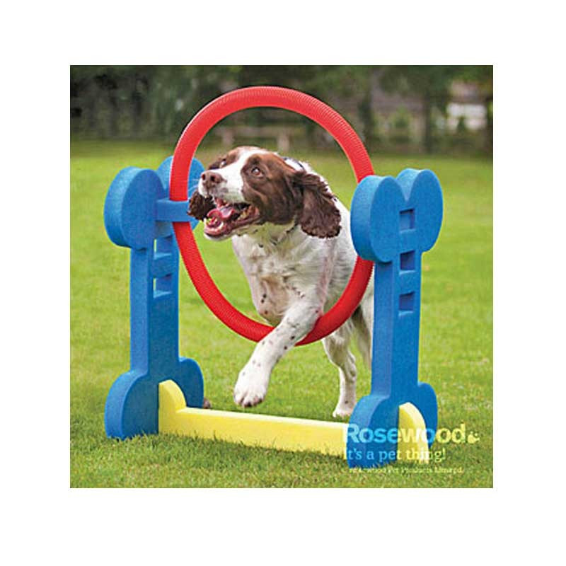 Pneu agility Indoor