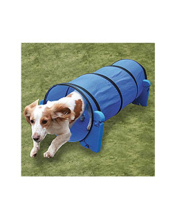 Tunnel agility Indoor