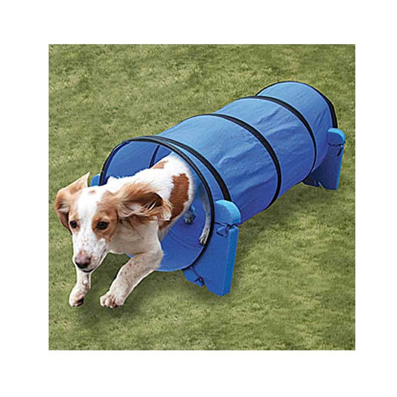 Tunnel agility Indoor