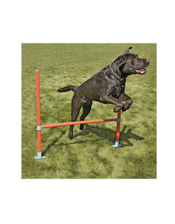 Haie agility Garden