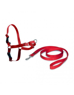 Harnais Easy Walk noir