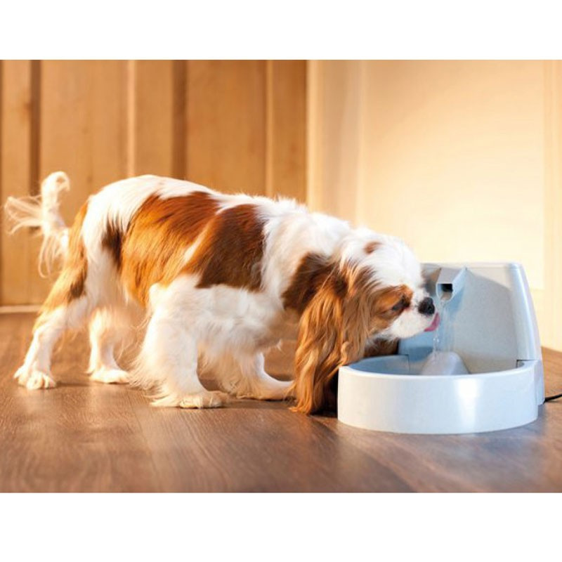  Fontaine Drinkwell original 1.5 L PetSafe - chat et chien