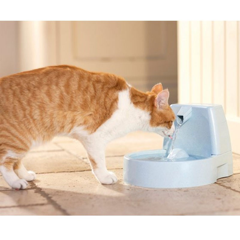  Fontaine Drinkwell original 1.5 L PetSafe - chat et chien