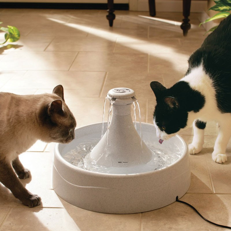 Fontaine 360 Drinkwell plastique PetSafe