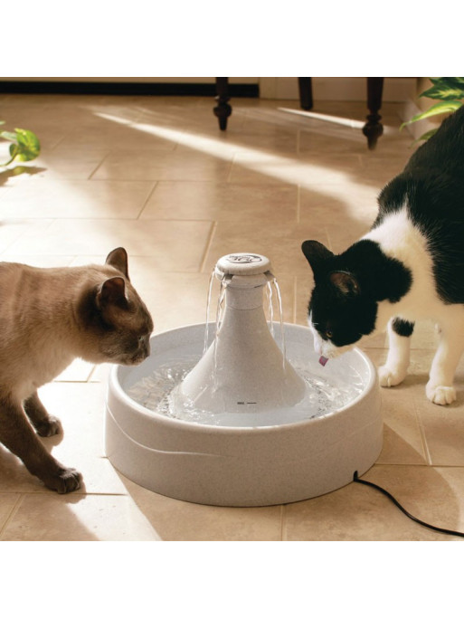 Fontaine 360 Drinkwell plastique PetSafe