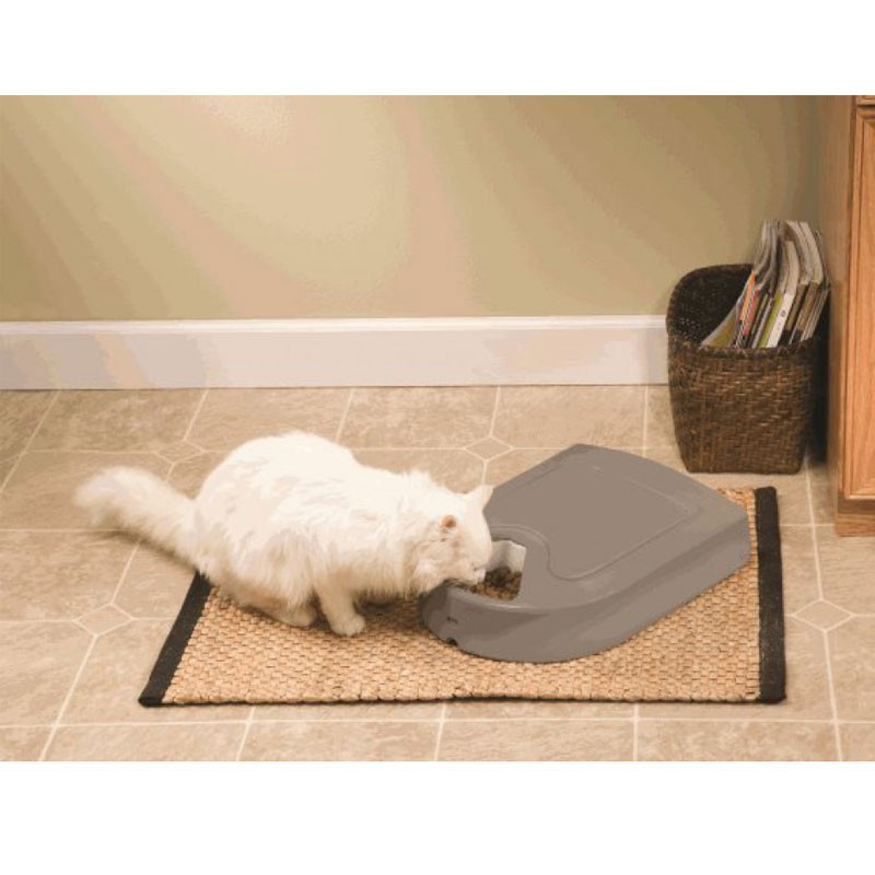 Distributeur automatique 5 repas Eatwell PetSafe