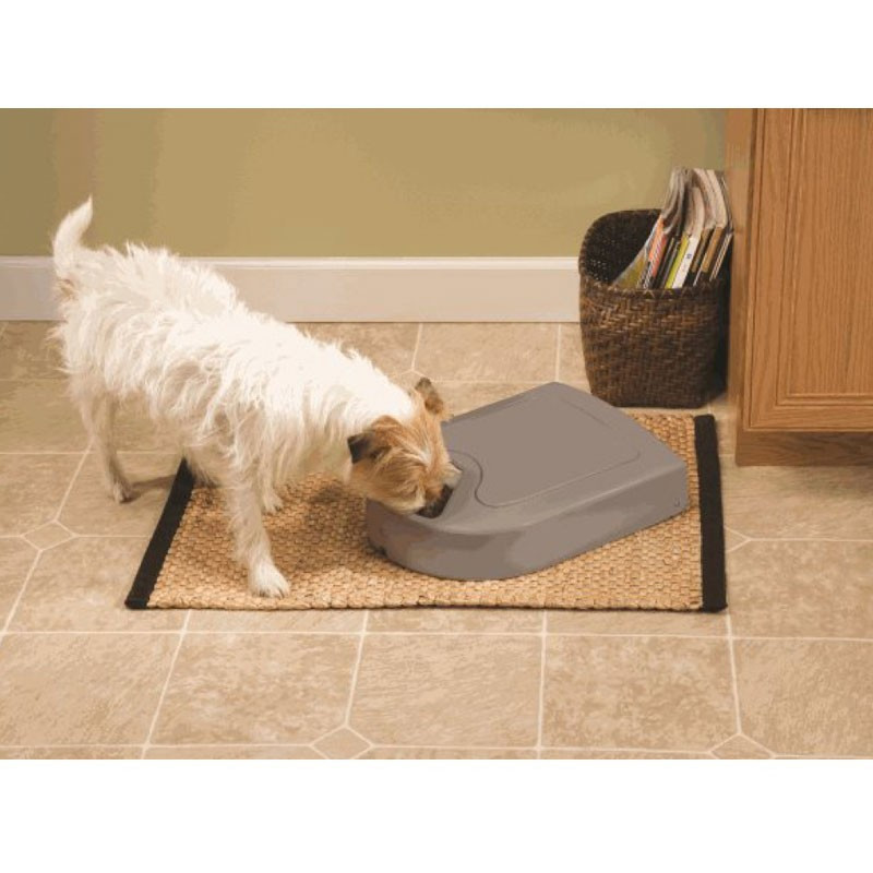 Distributeur automatique 5 repas Eatwell PetSafe