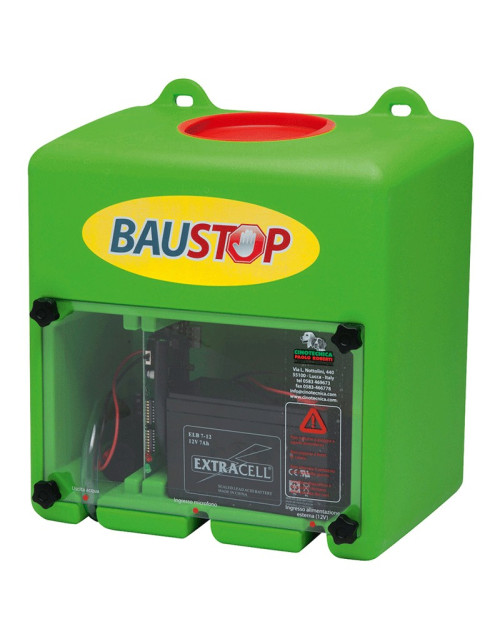 BAUS - TOP