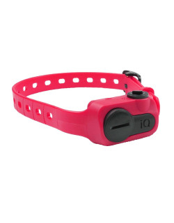 Collier anti-aboiement IQ no Bark Dogtra