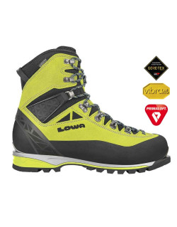 Chaussures Alpine Expert GTX Lime/black