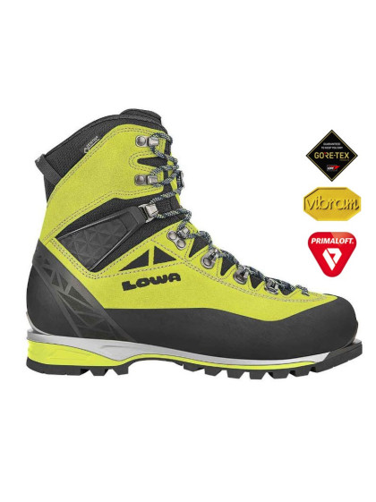 Chaussures Alpine Expert GTX Lime/black