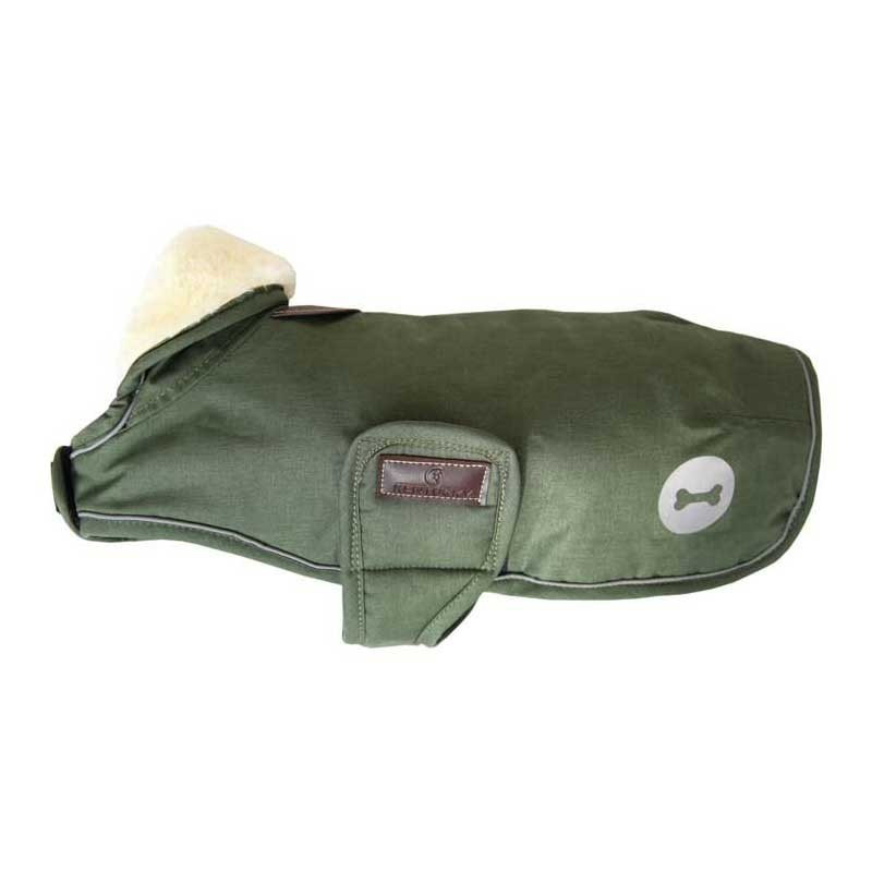 Couverture chien Imperméable Kentucky