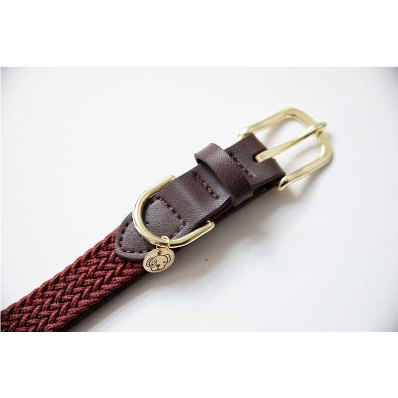 Collier nylon tressé chien Kentucky