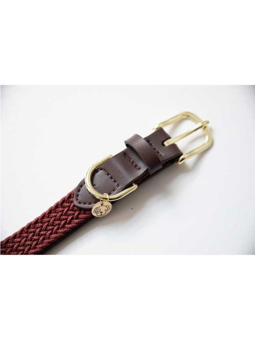 Collier nylon tressé chien Kentucky