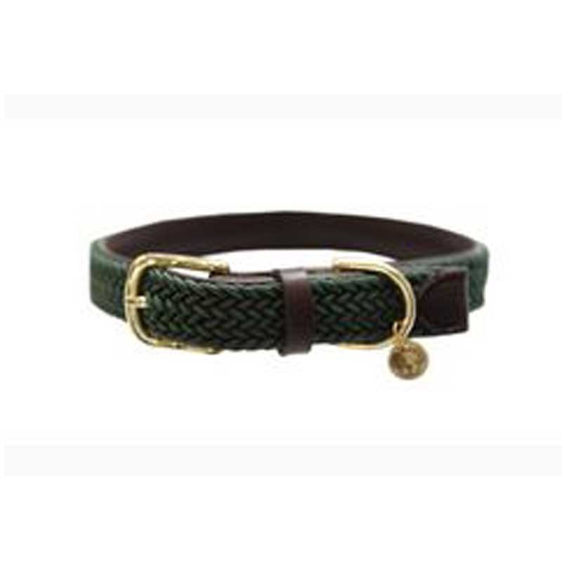 Collier nylon tressé chien Kentucky