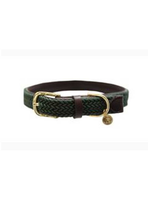 Collier nylon tressé chien Kentucky