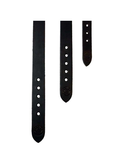 Collier pour chien Pravins Collier pour chien Pravins