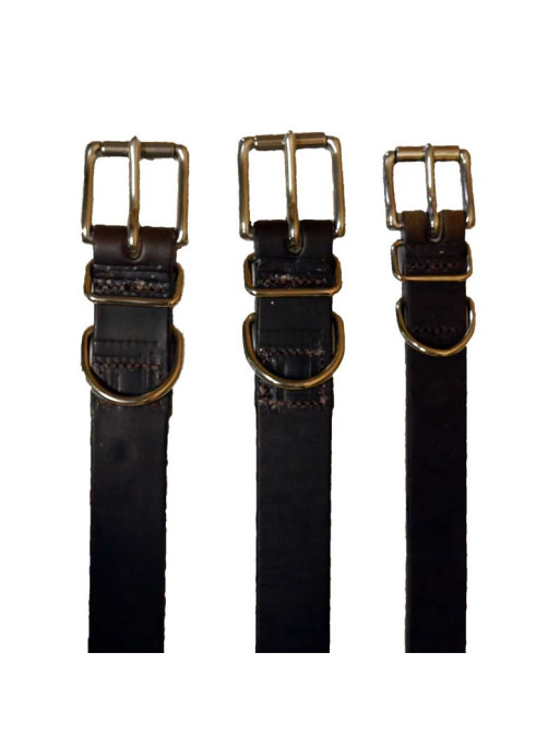Collier pour chien Pravins Collier pour chien Pravins