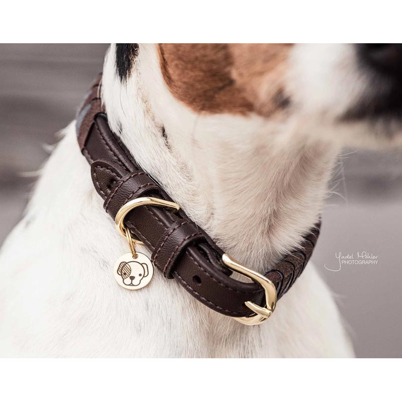 Collier pour chien Triangle Kentucky