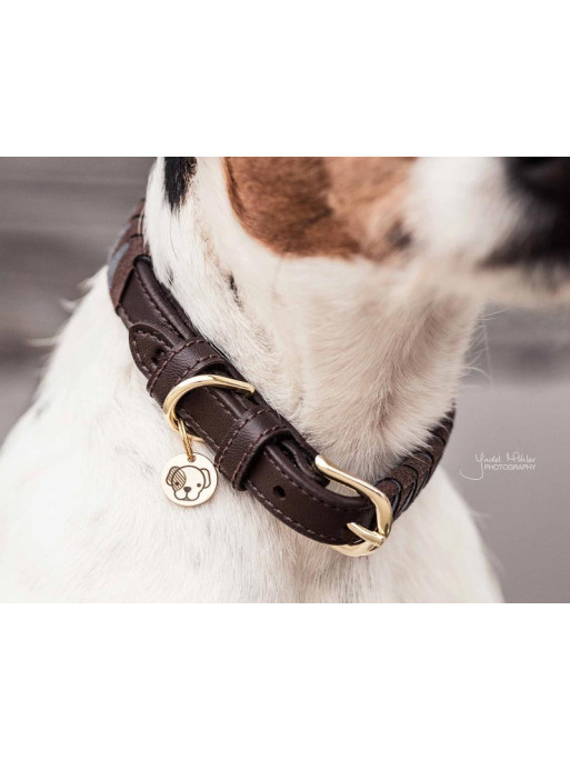 Collier pour chien Triangle Kentucky