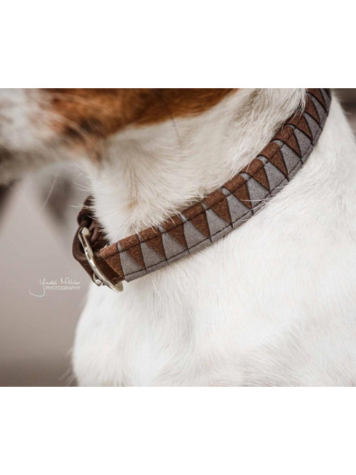 Collier pour chien Triangle Kentucky