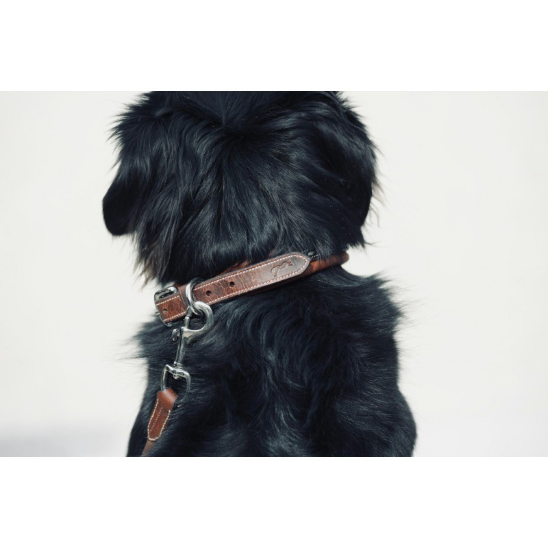 Collier pour chien cuir Point Sellier Pénélope