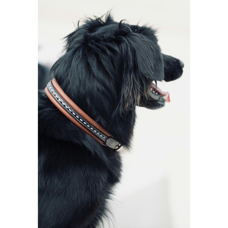 Collier pour chien cuir Point Sellier Pénélope