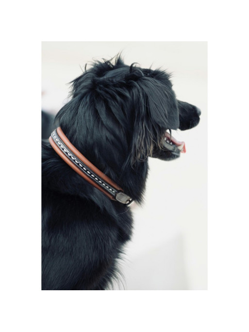Collier pour chien cuir Point Sellier Pénélope Collier pour chien cuir Point Sellier Pénélope