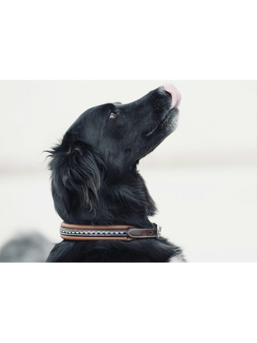 Collier pour chien cuir Point Sellier Pénélope Collier pour chien cuir Point Sellier Pénélope