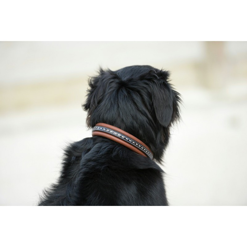 Collier pour chien cuir Point Sellier Pénélope