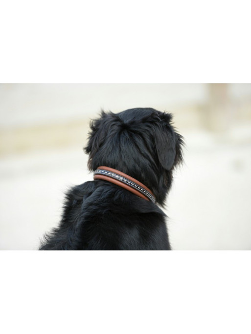 Collier pour chien cuir Point Sellier Pénélope Collier pour chien cuir Point Sellier Pénélope